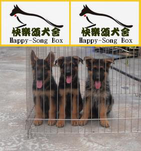 快樂頌狼犬園